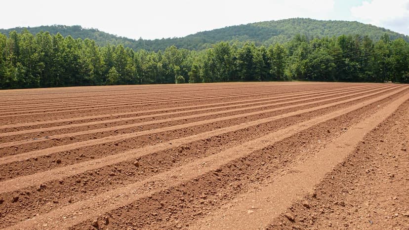 Soil Microorganisms that Improve Crop Health