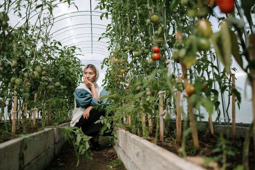 La microbiología del suelo: motor de la nutrición del tomate