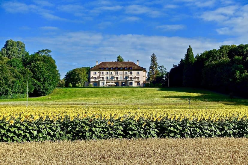 Nutrizione vegetale sostenibile con biostimolanti naturali