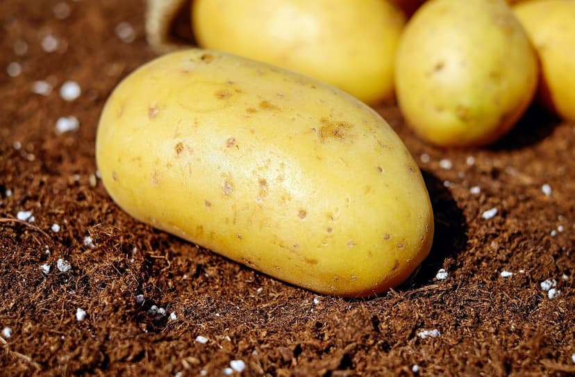 How to maintain optimal soils for crops