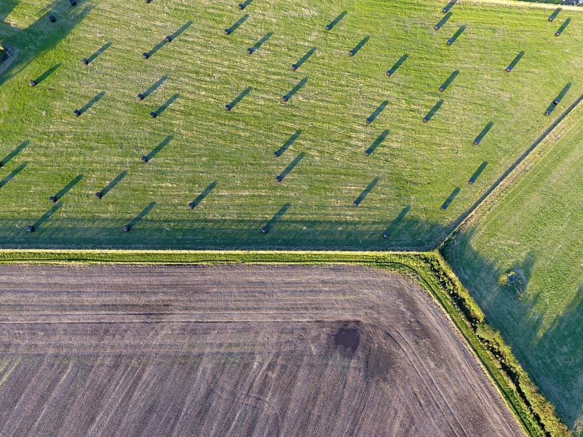 Biostimolanti per la Soia: Potenzia il tuo Raccolto