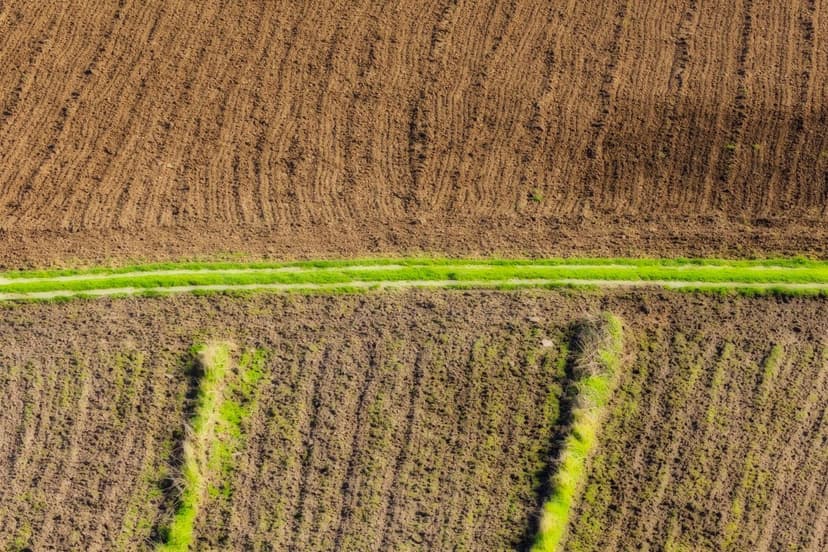 Manejo de estrés térmico en frambuesa ecológica