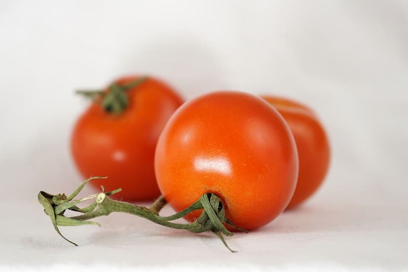 Cómo Corregir la Deficiencia de Nitrógeno en Tomate