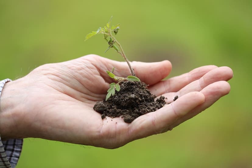 La connessione intestino-suolo: Alimenti biologici per un microbiota f