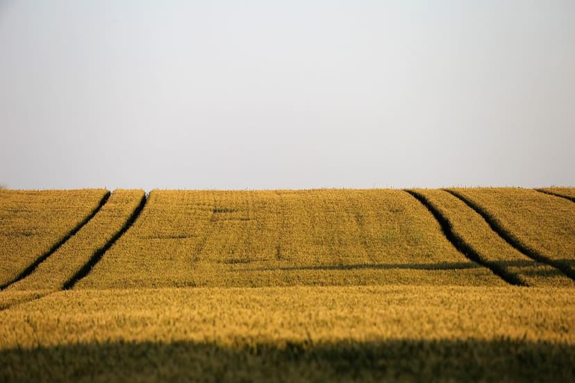 Biostimulants for Fruit Crops: Boost Your Production