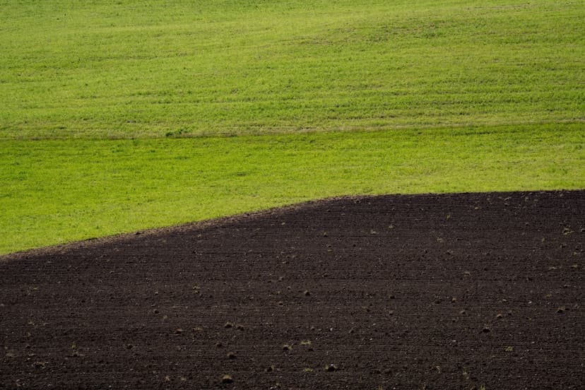 agricultura sostenible en aguacate ecológico con potasio foliar