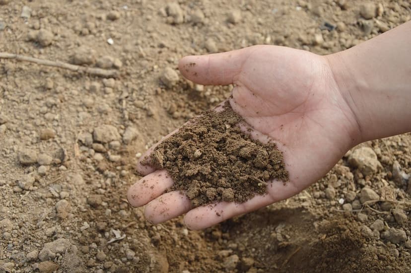 Biostimulants pour le sol et le soja en période de sécheresse