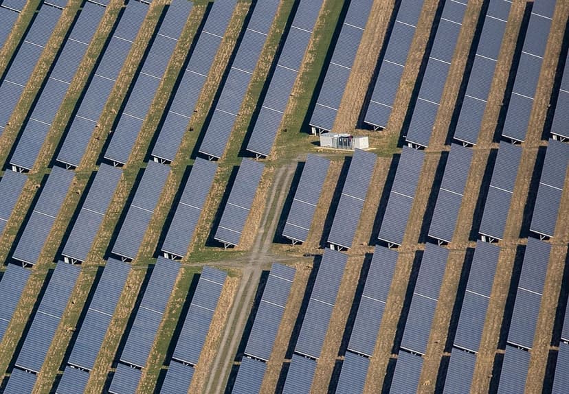 Ecoganic e la Rivoluzione dell'Agricoltura Sostenibile
