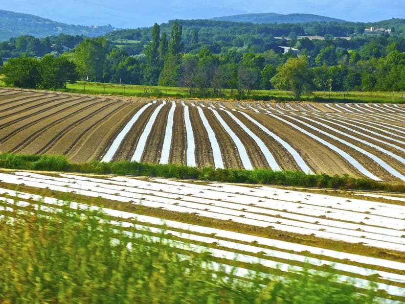 Protégez votre récolte et nourrissez votre terre : La révolution des p