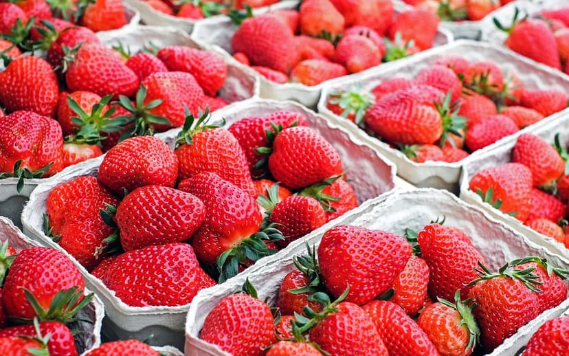 Chlorella y Scenedesmus en berries: mitos y realidades