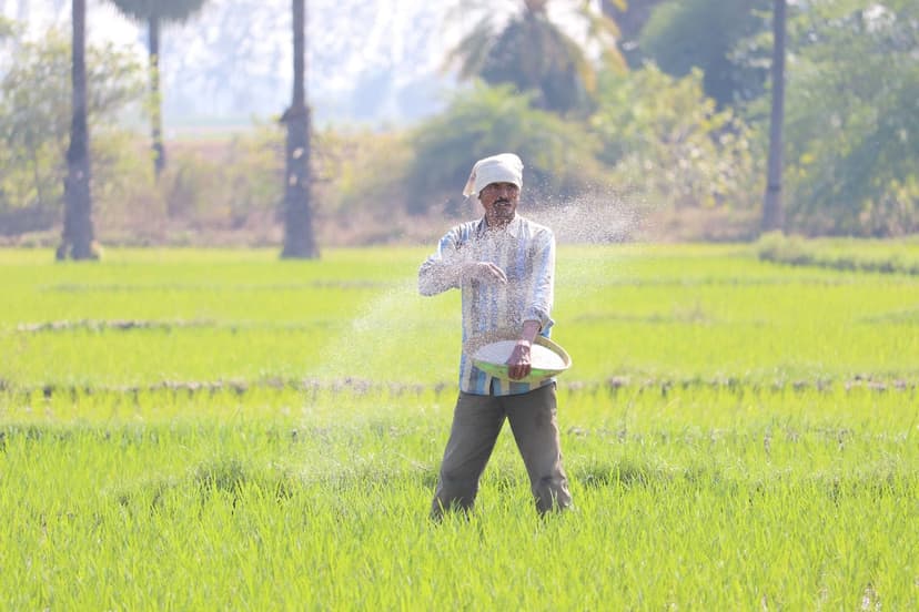 Comparison of chloride-free fertilizers
