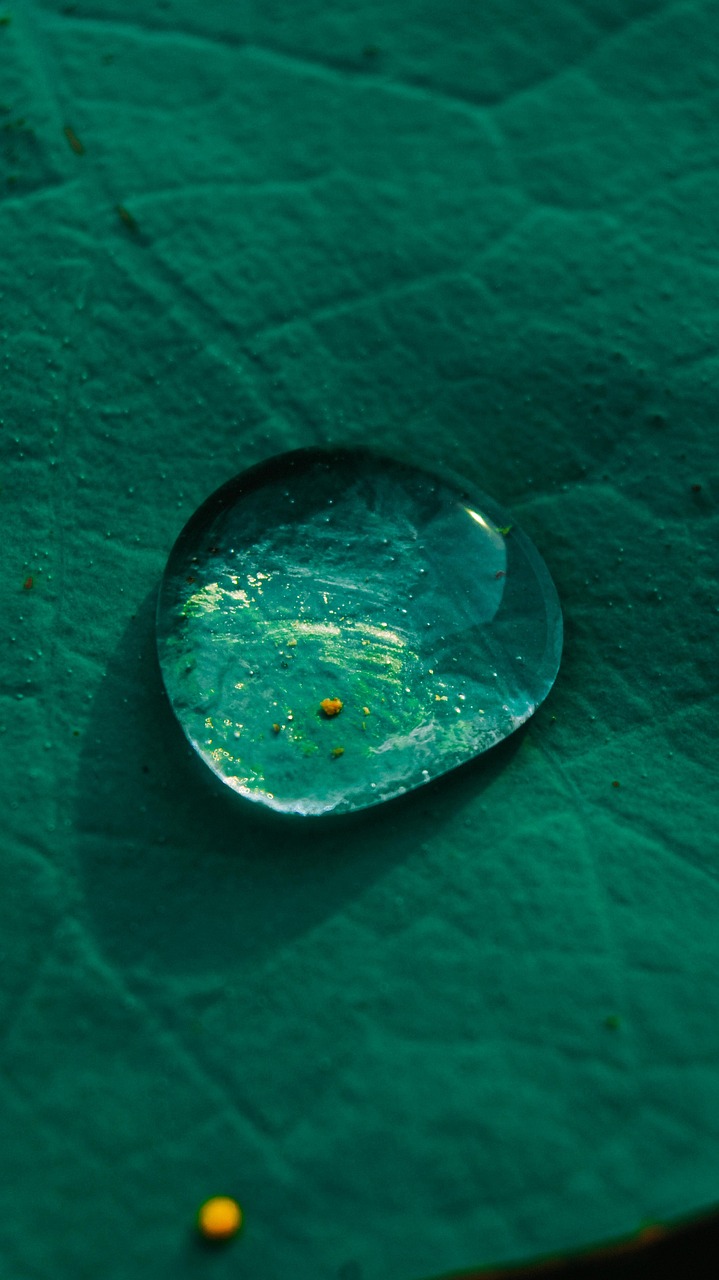 Mecanismos de ação dos bioestimulantes sobre a microbiota