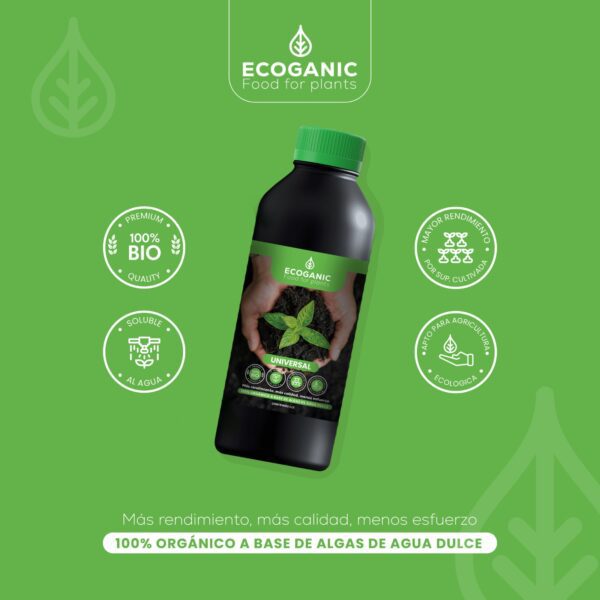 ECOGANIC UNIVERSAL 0-0-1: Bioestimulante Orgánico para Cosechas de Calidad Potencia el rendimiento y la salud de tus cultivos con ECOGANIC UNIVERSAL 0-0-1, un bioestimulante líquido 100% orgánico que optimiza la absorción de nutrientes y mejora la resistencia al estrés. Ideal para una agricultura sostenible y resultados excepcionales. ¡Aumenta tu productividad de manera natural! ECOGANIC UNIVERSAL 0-0-1: Bioestimulante Orgánico para Cosechas de Calidad Potencia el rendimiento y la salud de tus cultivos con ECOGANIC UNIVERSAL 0-0-1, un bioestimulante líquido 100% orgánico que optimiza la absorción de nutrientes y mejora la resistencia al estrés. Ideal para una agricultura sostenible y resultados excepcionales. ¡Aumenta tu productividad de manera natural!