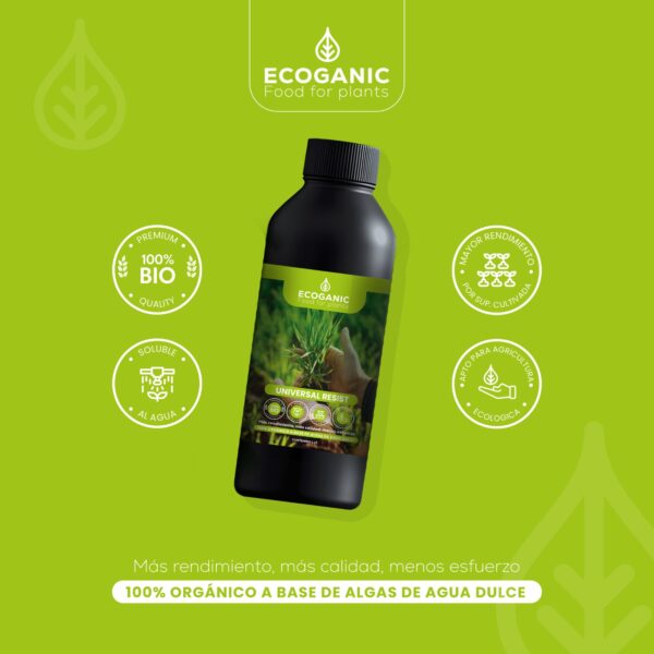 "bioestimulante líquido orgánico Ecoganic UNIVERSAL POWER"