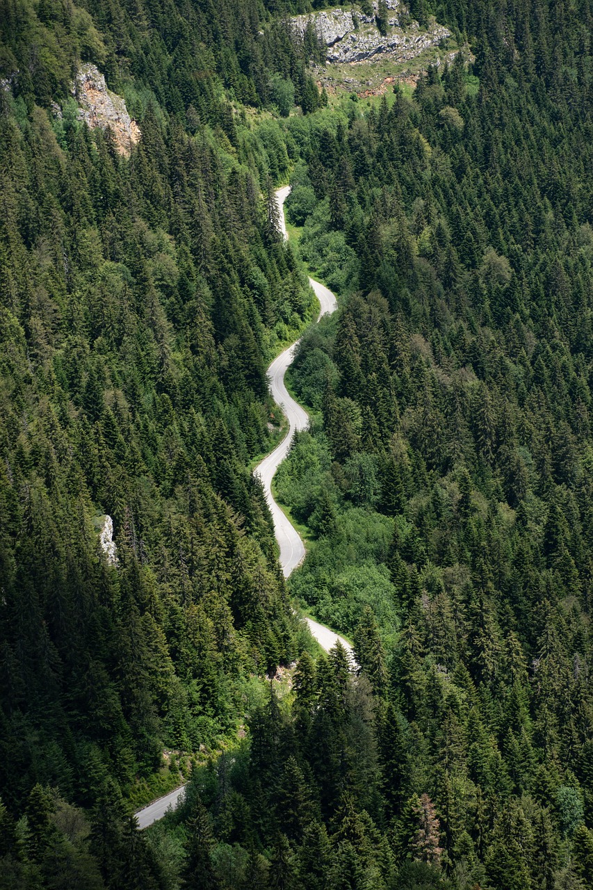 Beneficios de los bioestimulantes