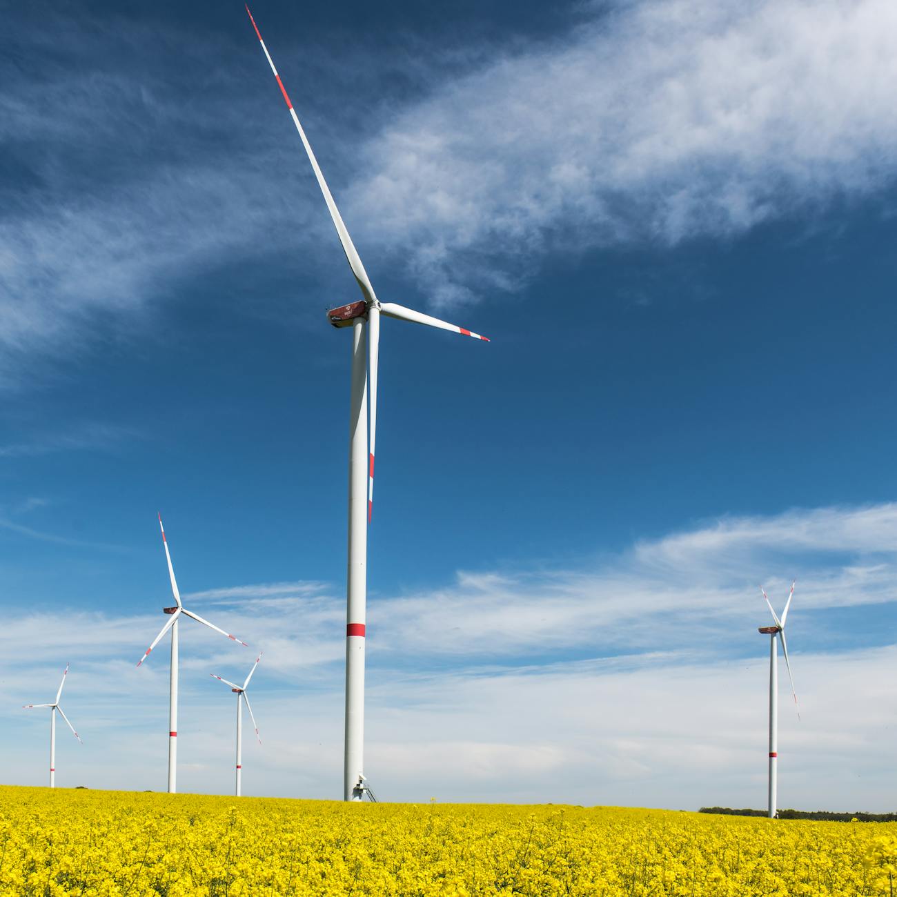 Cultivos de frutas mostrando resultados visibles del uso de bioestimulantes