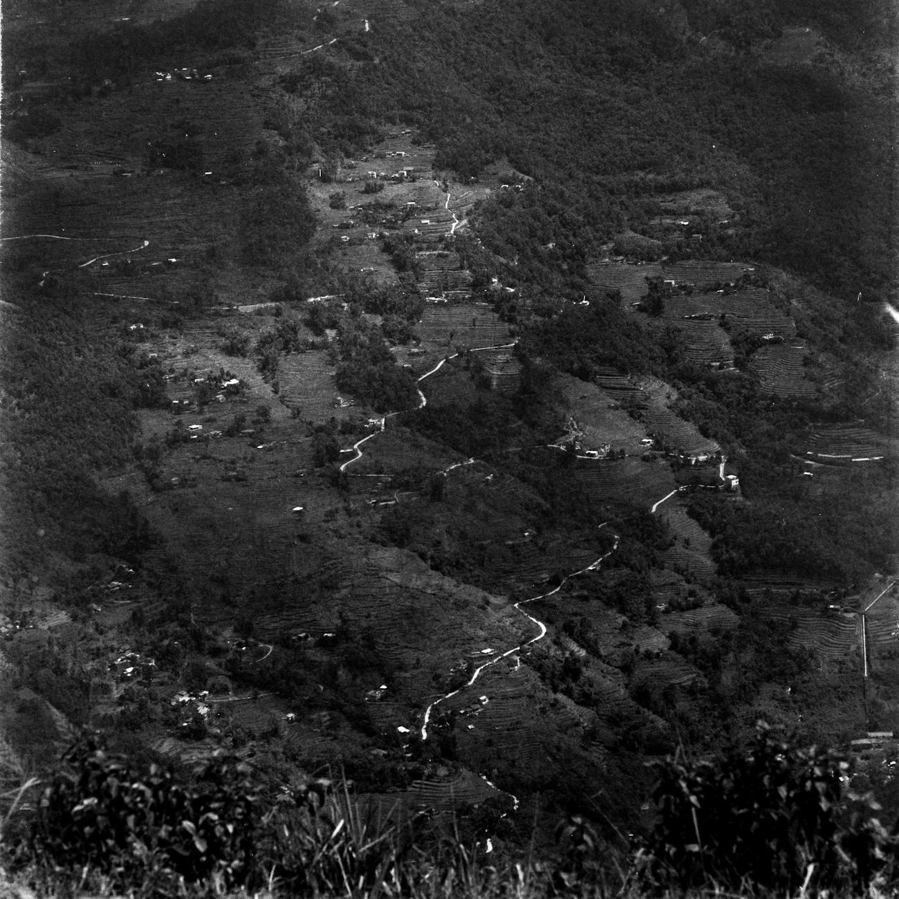 Beneficios en la Agricultura