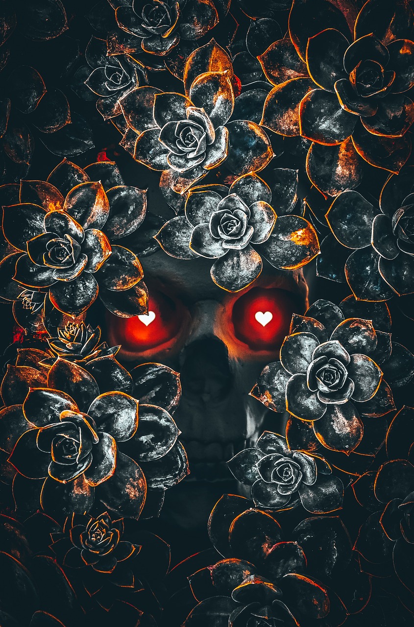 Applications Pratiques