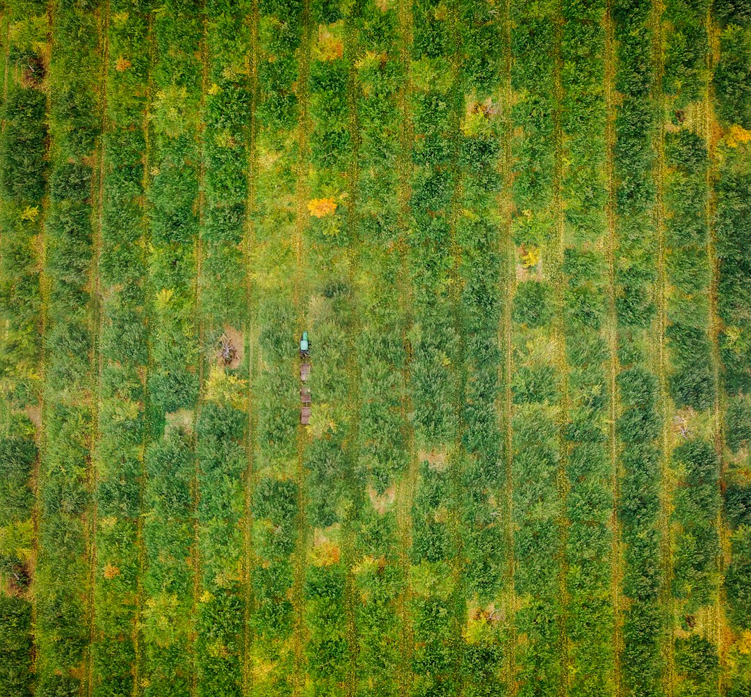 Applications pratiques dans les cultures