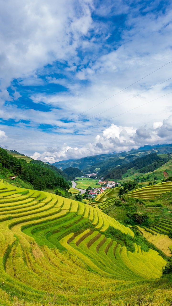 Bénéfices des Acides Aminés dans l'Absorption de l'Azote