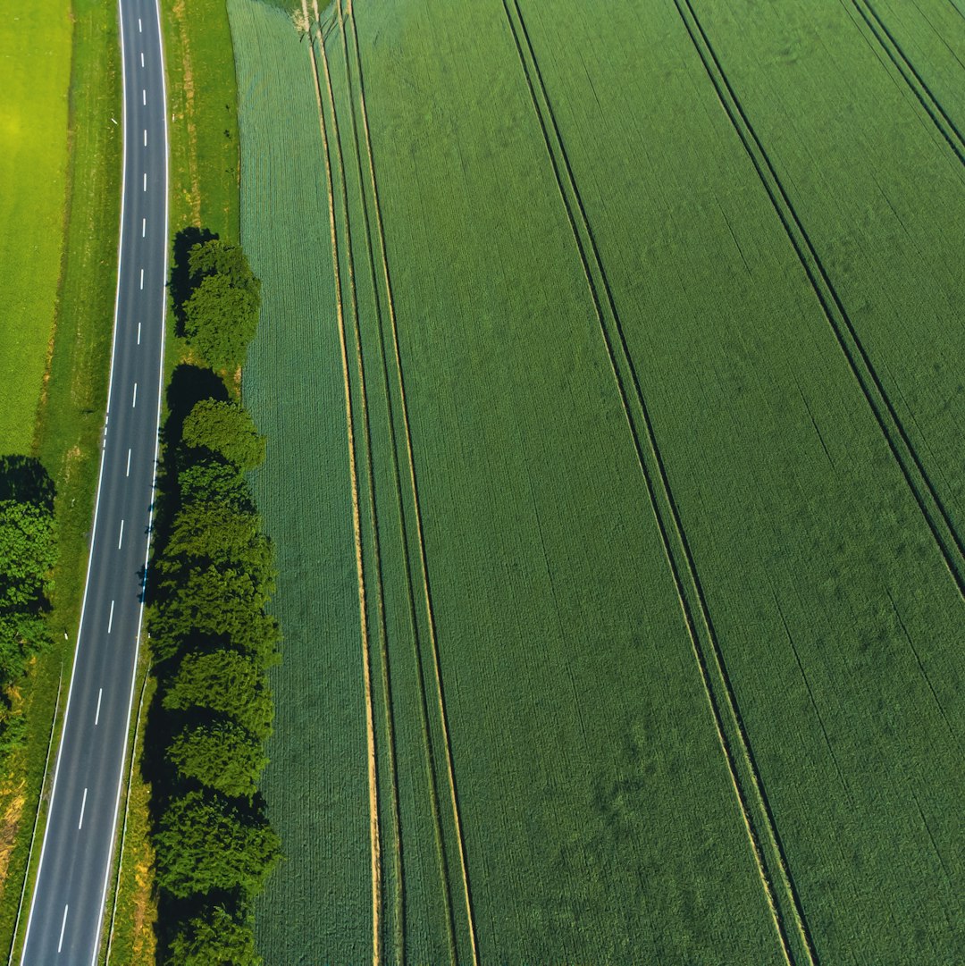 Aumento de la Tolerancia al Estrés