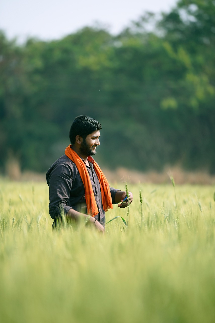 Mecanismo de acción de bioestimulantes en plantas