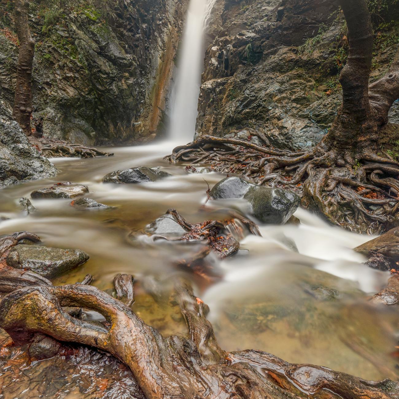 Efectos en la absorción radicular