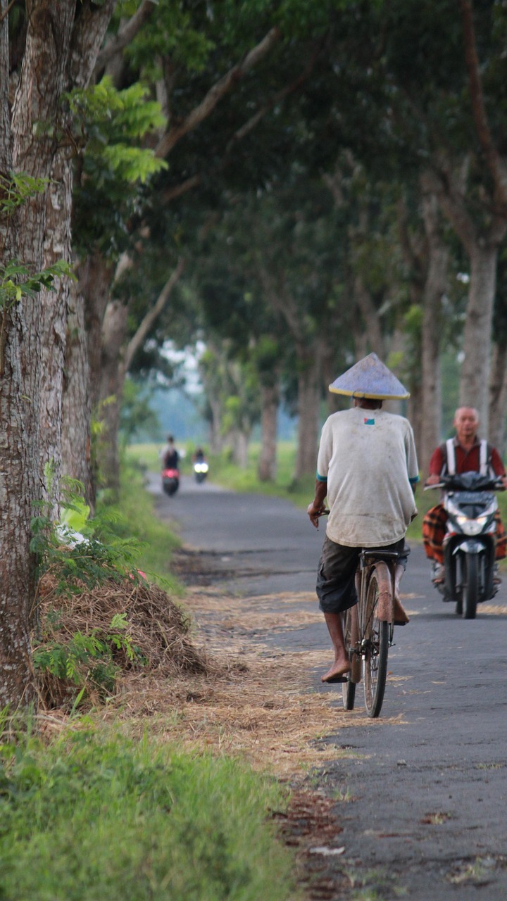 Advantages of Each Option