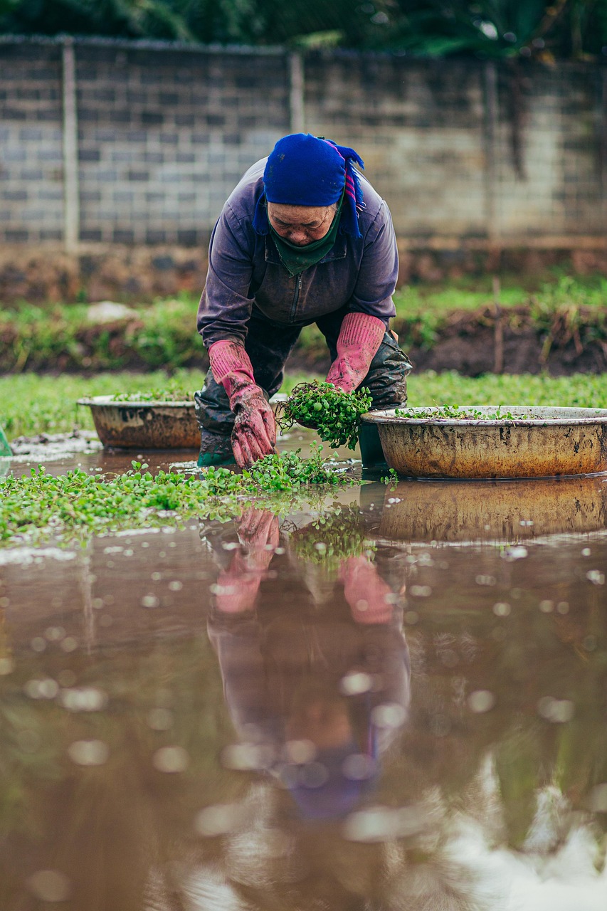 Recommended Doses for Nitrogen Fertilization