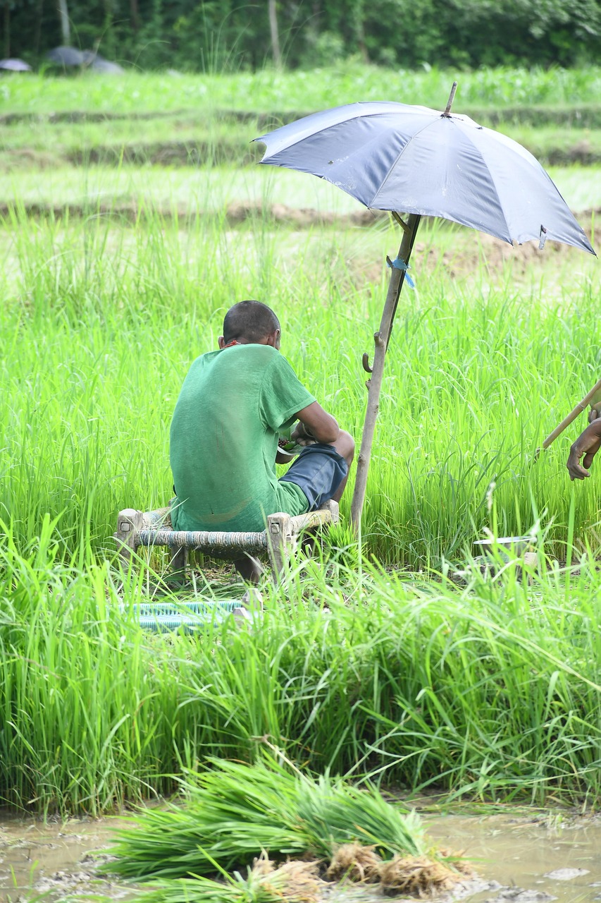 Prácticas Agrícolas Sostenibles para Potenciar la Microbiología