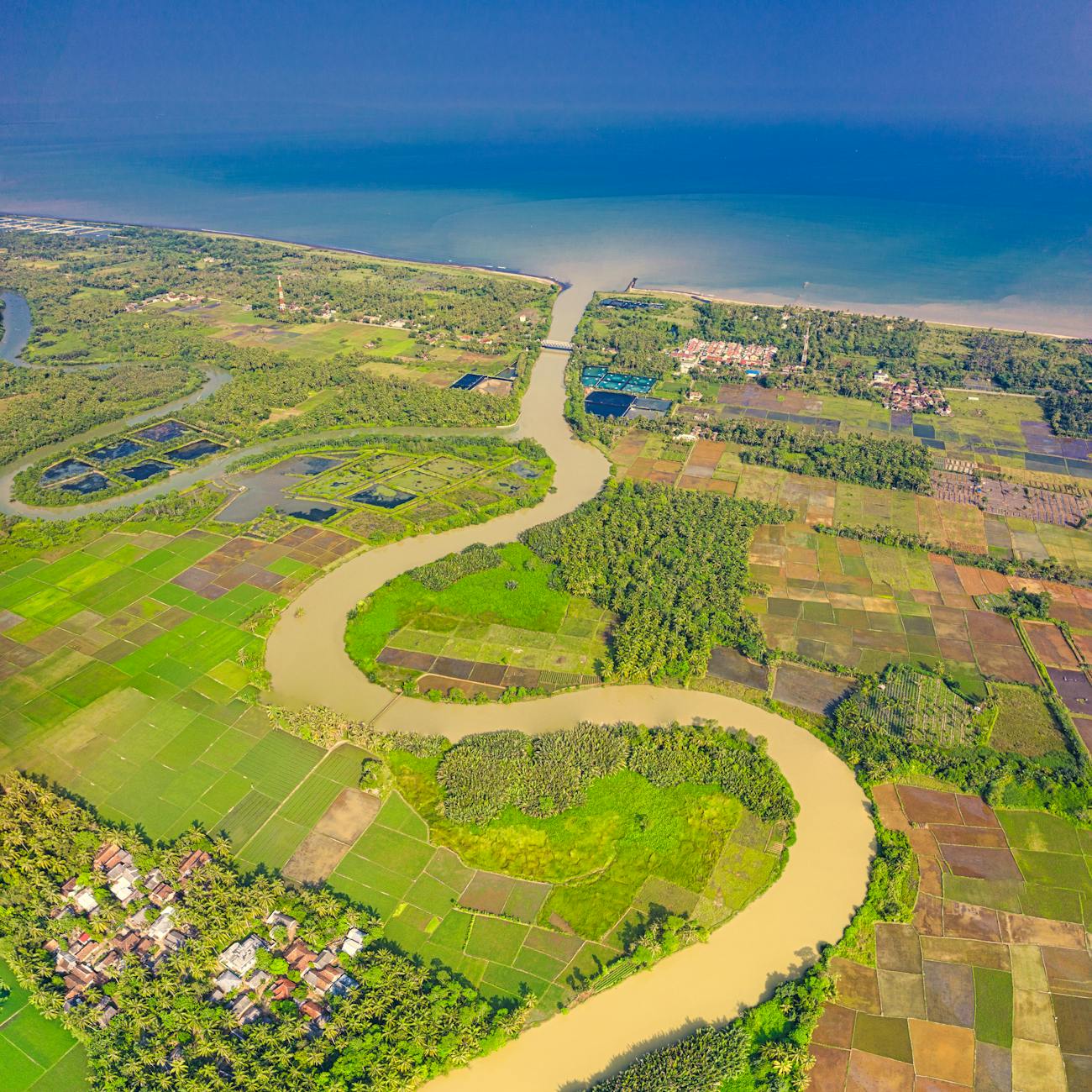 Huerta de aguacates próspera en América Latina