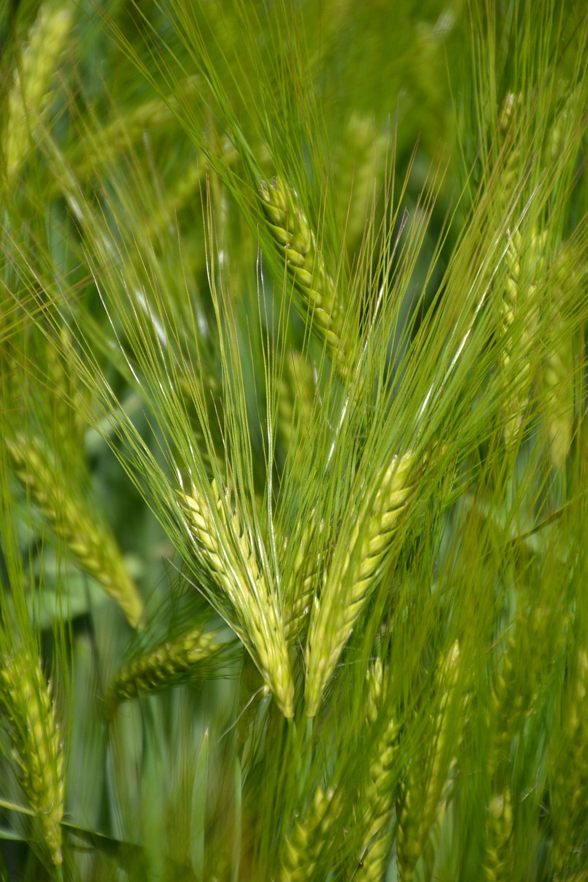 Mejores Prácticas para su Uso