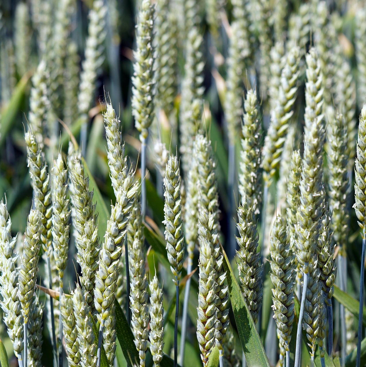 Ambiente de lujo centrado en confort y sostenibilidad
