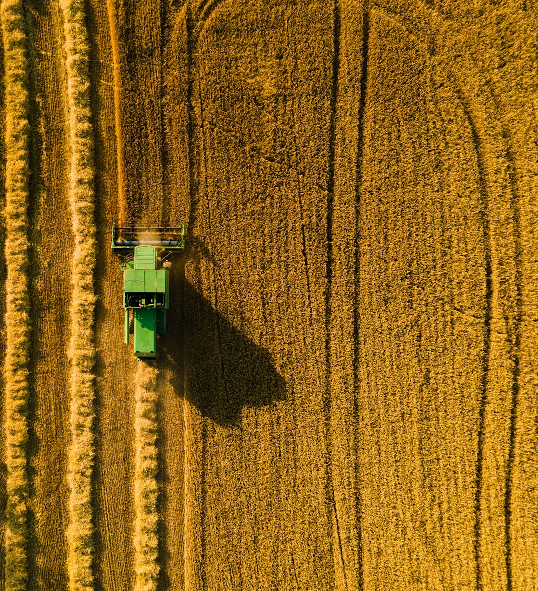 Técnicas de aplicación más efectivas