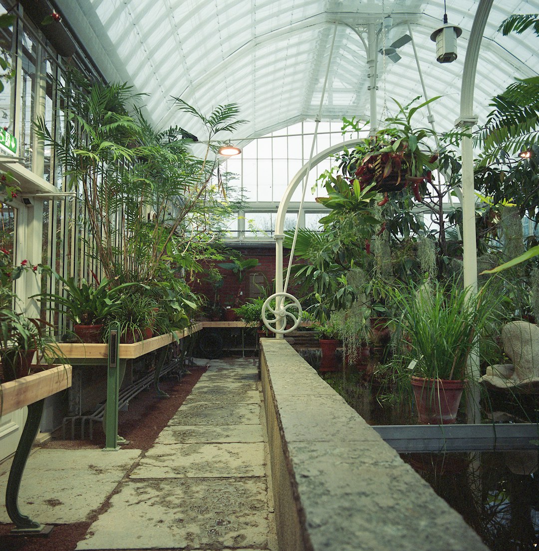 Aplicaciones en invernaderos